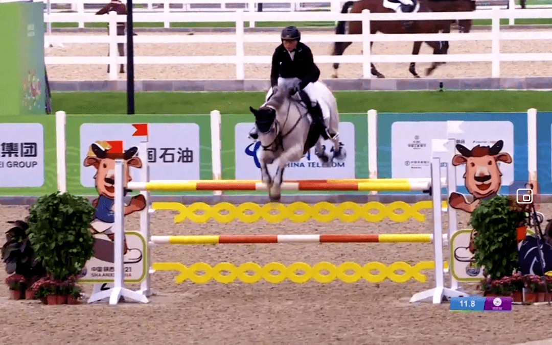 南美马术选手奋力拼搏,取得奖牌的简单介绍 南美马术选手奋力拼搏,取得奖牌的简单介绍