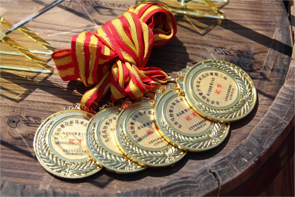 南美马术选手奋力拼搏,取得奖牌的简单介绍 南美马术选手奋力拼搏,取得奖牌的简单介绍